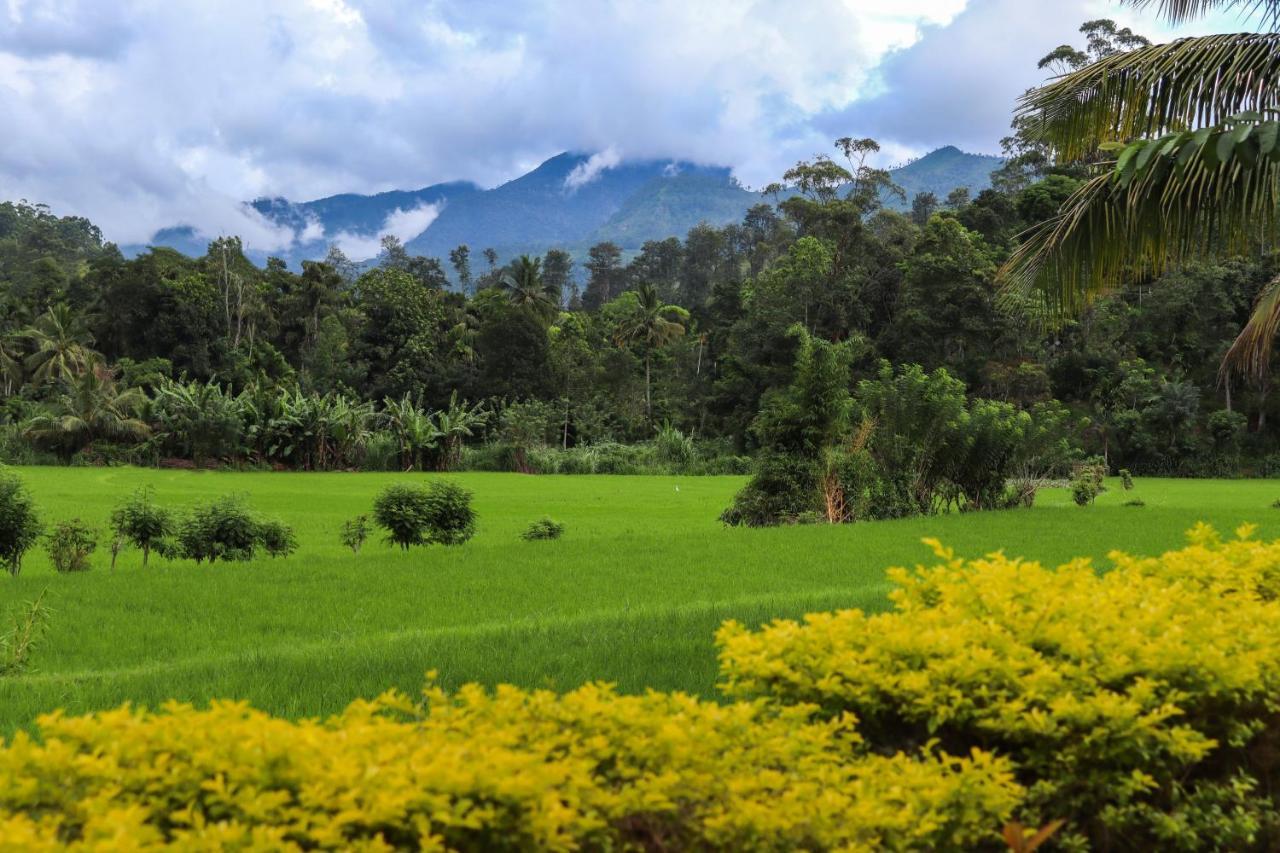 Ella Nature Valley Homestay Bagian luar foto