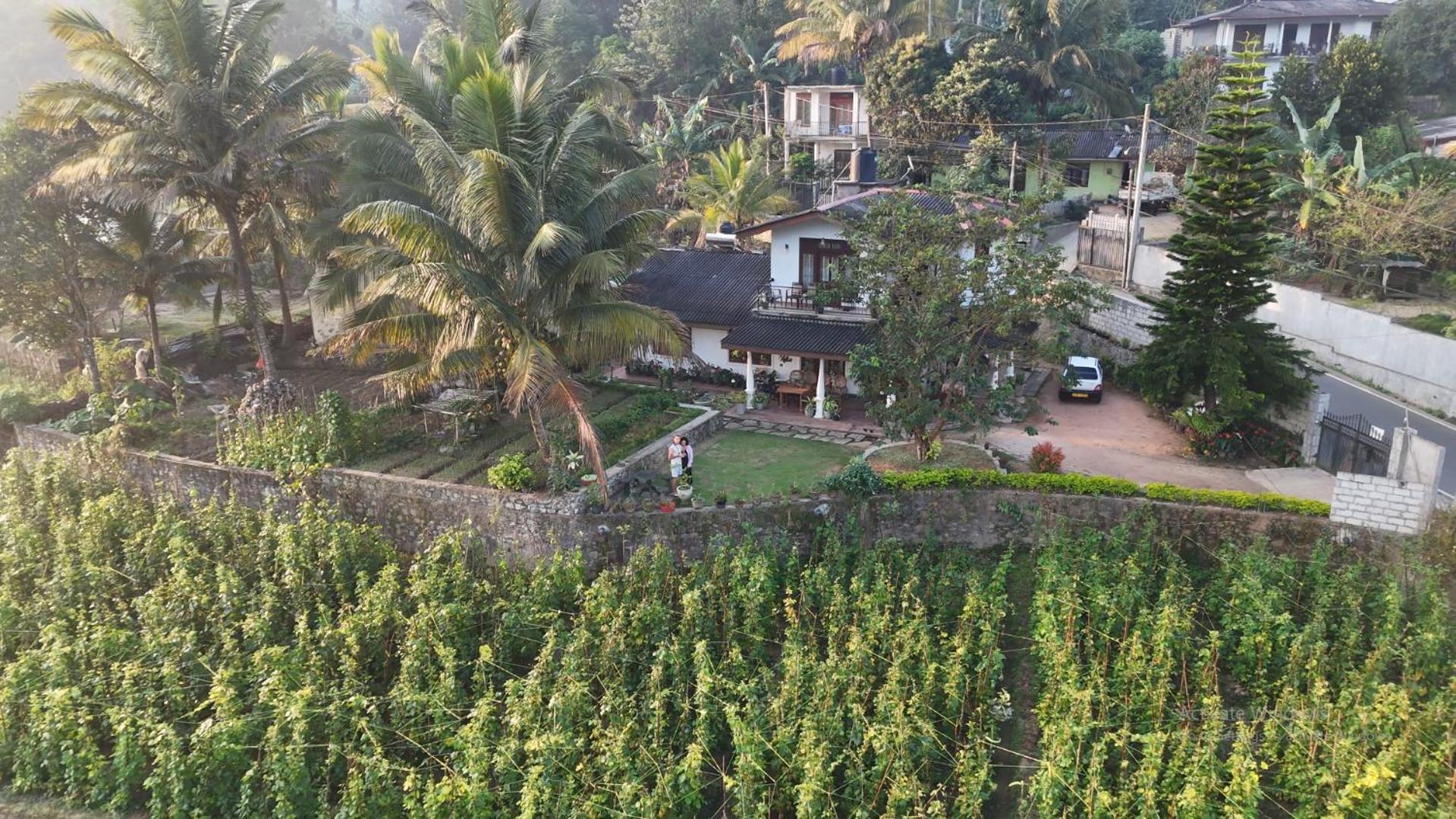Ella Nature Valley Homestay Bagian luar foto