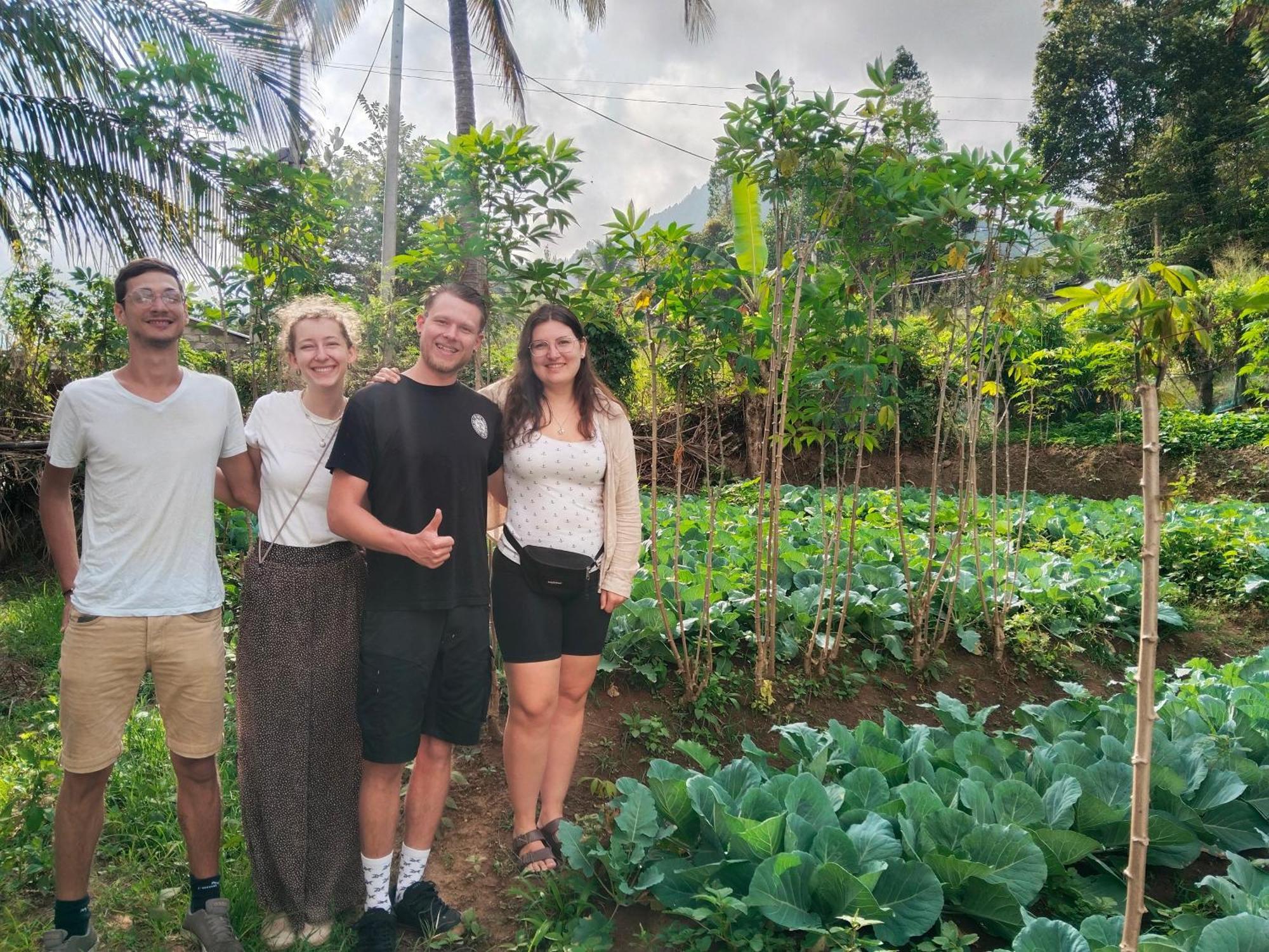 Ella Nature Valley Homestay Bagian luar foto