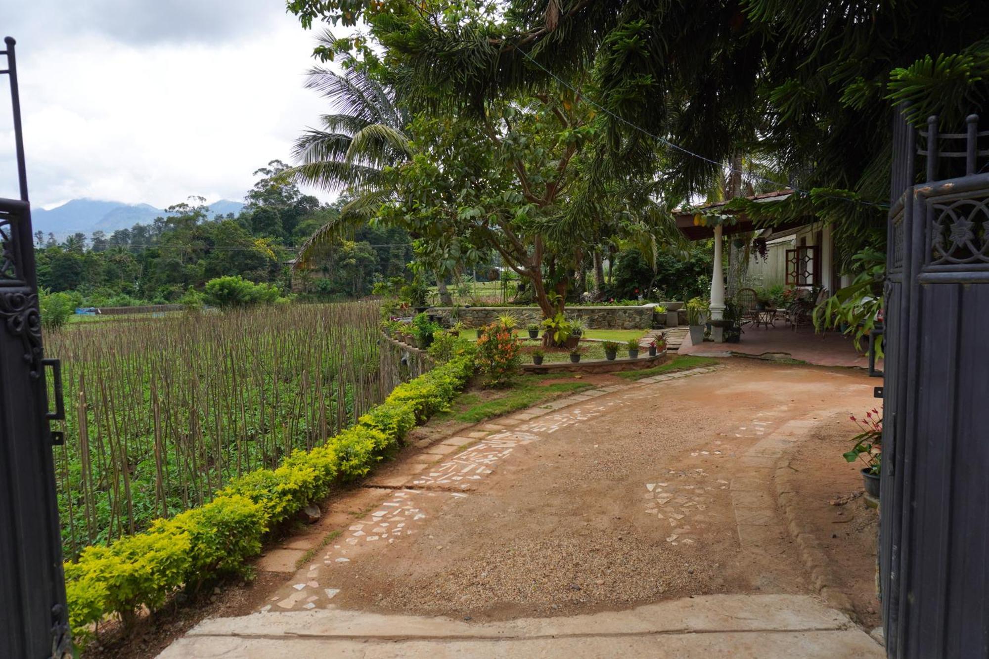 Ella Nature Valley Homestay Bagian luar foto