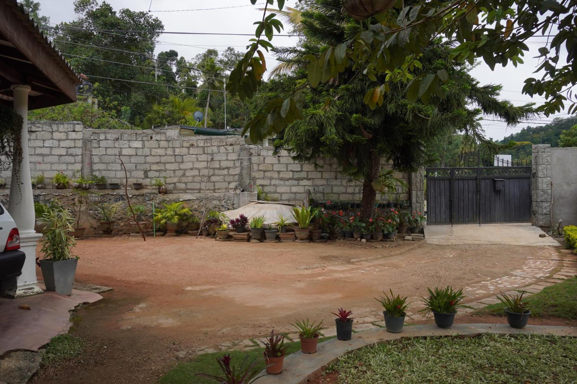 Ella Nature Valley Homestay Bagian luar foto