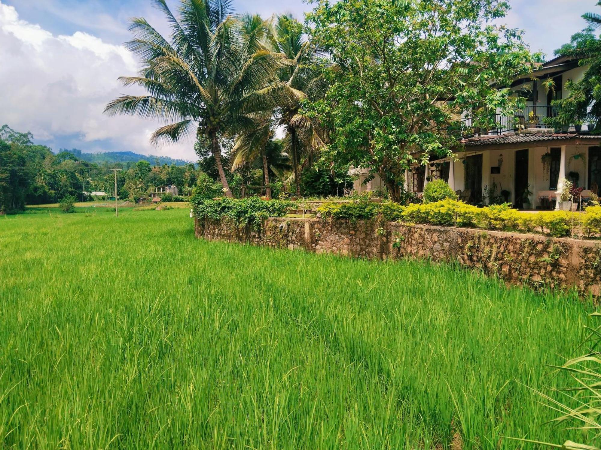 Ella Nature Valley Homestay Bagian luar foto