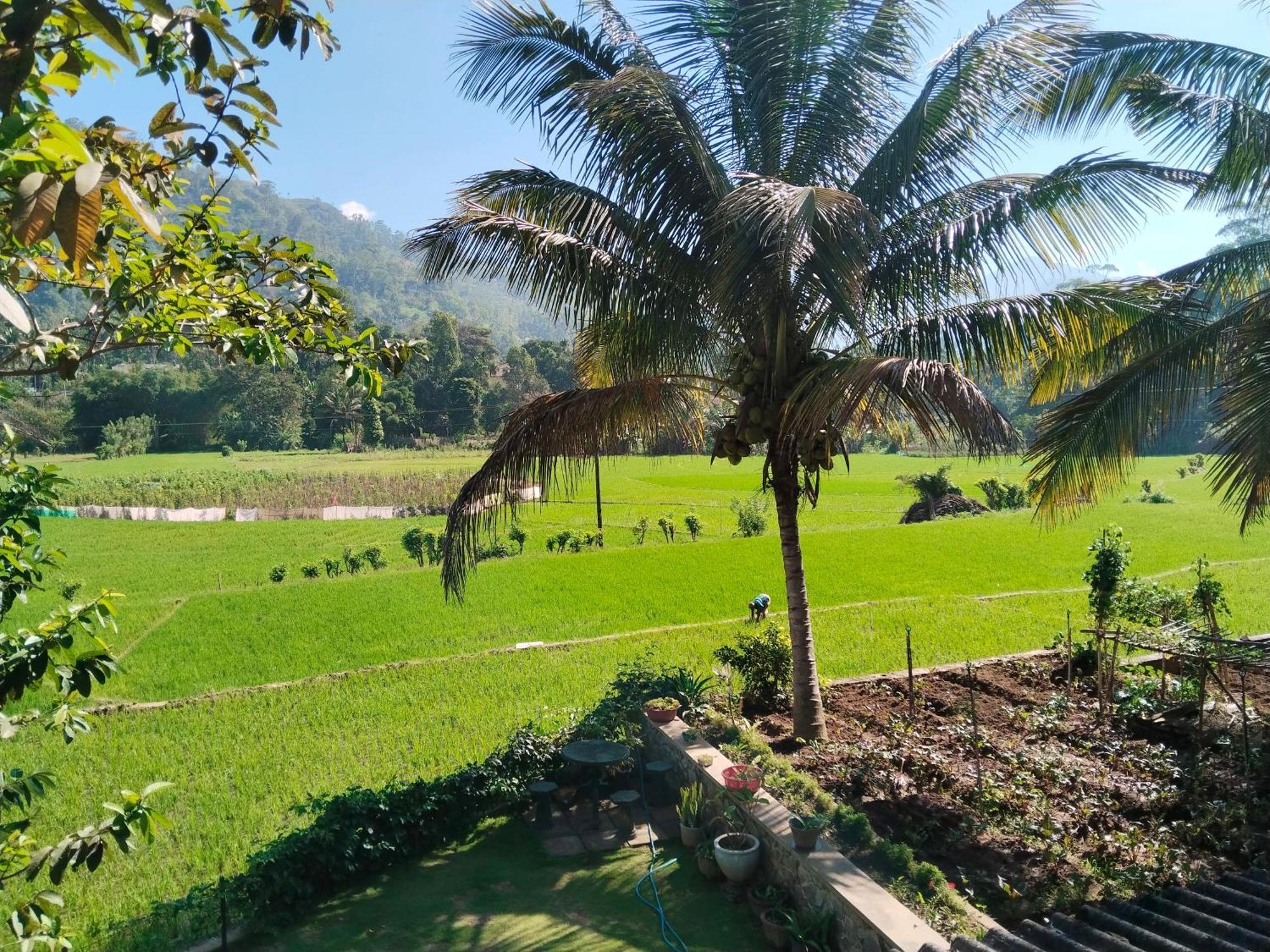 Ella Nature Valley Homestay Bagian luar foto