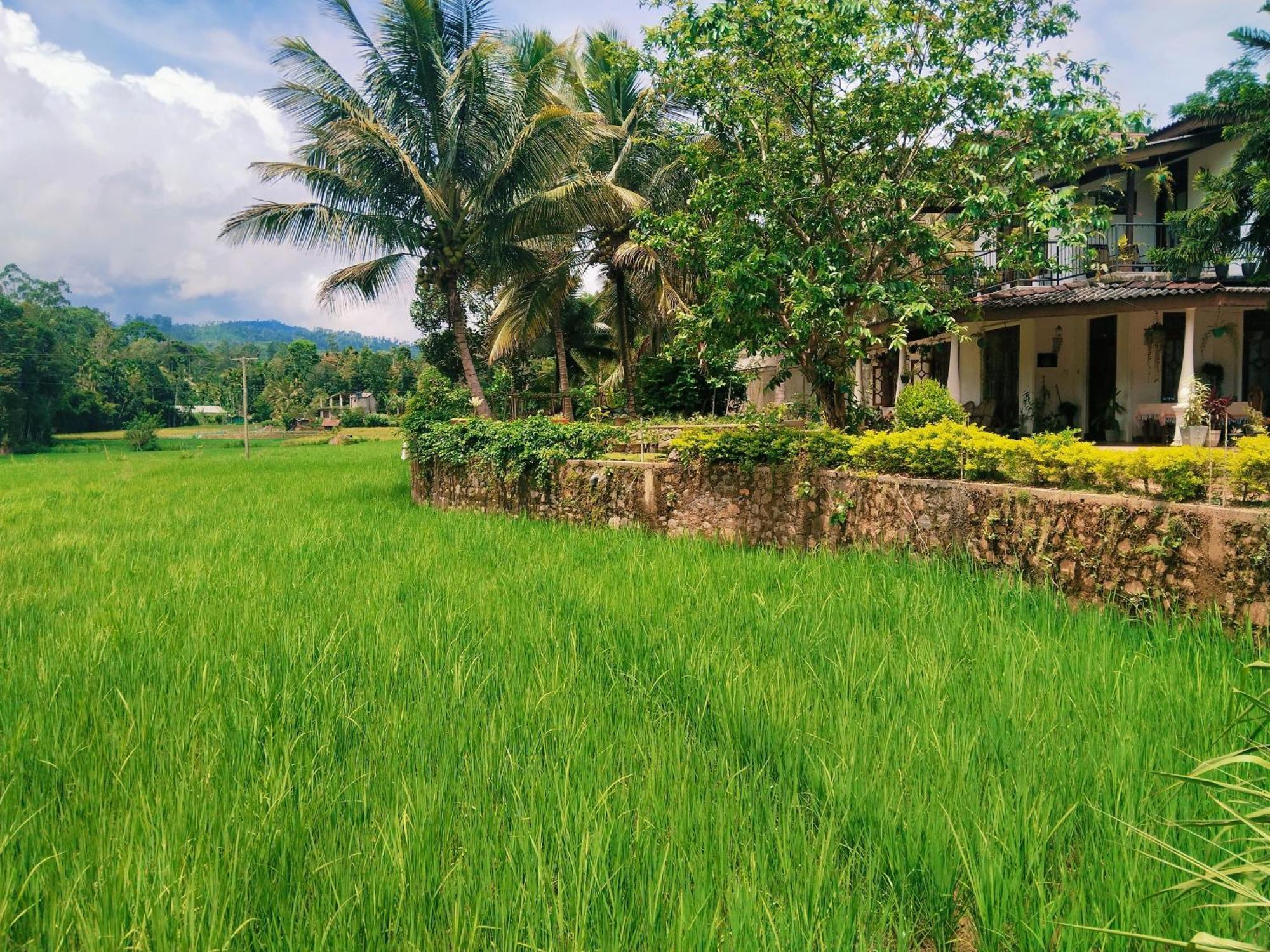Ella Nature Valley Homestay Bagian luar foto